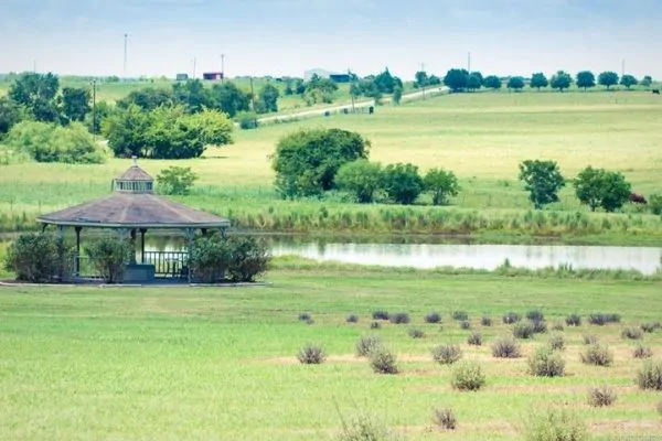Chappell Hill Lavender Farm College Station Dumpster Rental in Brenham TX